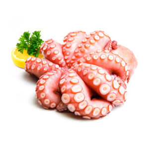 Pulpo